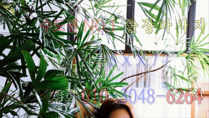 서울출장마사지-후불제- {{ ㅋ ㅏ톡sxx77 }} 서울일상탈출 ⊀Ö1Ô-3O48-6264⊁ 서울출장안마' 20대' 서울출장안마 출장안마코스 서울출장안마