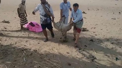 Tải video: مقتل 22 طفلاً باليمن.. واتهامات متبادلة بين الحوثيين والتحالف العربي ويونيسف تطالب بوقف الحرب