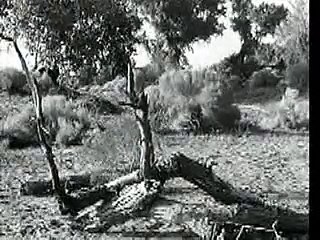 The Lone Ranger S 4 E 24 Code Of The Pioneers