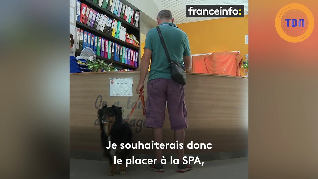 Il abandonne son chien à la SPA et explique pourquoi !