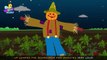 Dingle Dangle Scarecrow Rhyme | Dingle Dangle Scarecrow Nursery Rhyme with lyrics