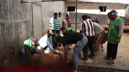 Suriye'nin Farklı Bölgelerinde 5 Bin 357 Hisse Kurban Kesilerek Dağıtıldı