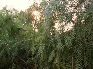 The Magnificent Seven 2x06 Wagon Train, Part 2