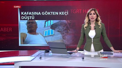 Gökten Kafasına Keçi Düştü!