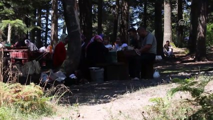 Gölcük Tabiat Parkı'nda bayram yoğunluğu - BOLU