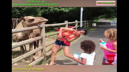 NTN - NHỮNG CLIP HÀI VUI NHỘN