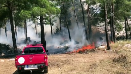 Akseki'de orman yangını - ANTALYA