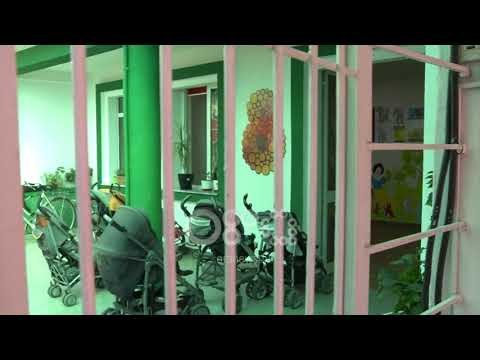 Ora News - Çerdhet nën sulm, dy rastet në Tiranë dyshohen si zjarrvënie të qëllimshme