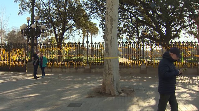 Denuncia por querer multar a aquellos que quitan lazos amarillos