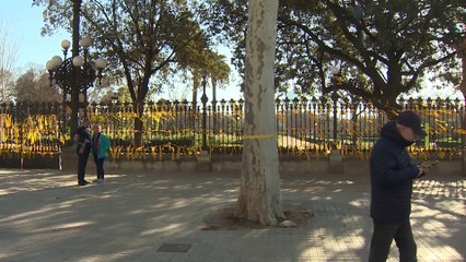 Denuncia por querer multar a aquellos que quitan lazos amarillos