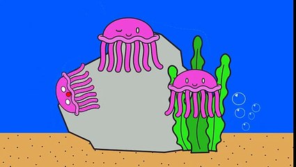 Three Jellyfish