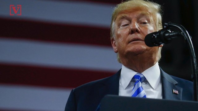 New Poll Shows Trump Trailing Joe Biden, Bernie Sanders and Elizabeth Warren in Potential 2020 Matchups