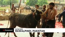 Watch: Muslims in Pakistan celebrate Eid al-Adha