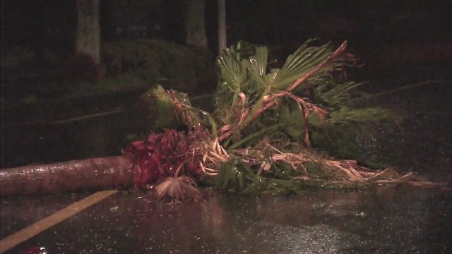 [태풍상황] 태풍 '솔릭' 제주 근접...태풍 피해 잇따라 / YTN