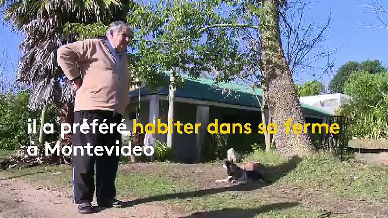 Qui est José Mujica, dit "Pepe", l'ex-président uruguayen ?