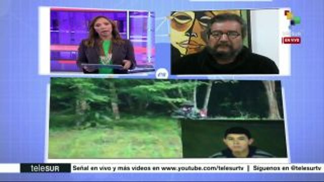 Medina: ELN ha mostrado su disposición de avanzar en diálogos de paz