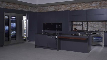 [기업] LG전자, 빌트인 주방가전 '본고장' 유럽 진출 / YTN