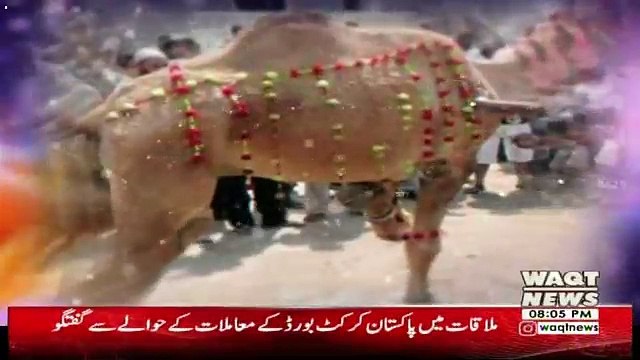 Eid Special Transmission On Waqt News – 22nd August 2018