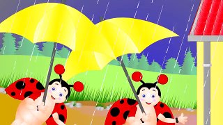 Itsy Bitsy Spider | Nursery Rhymes | Children songs | Jaccoled