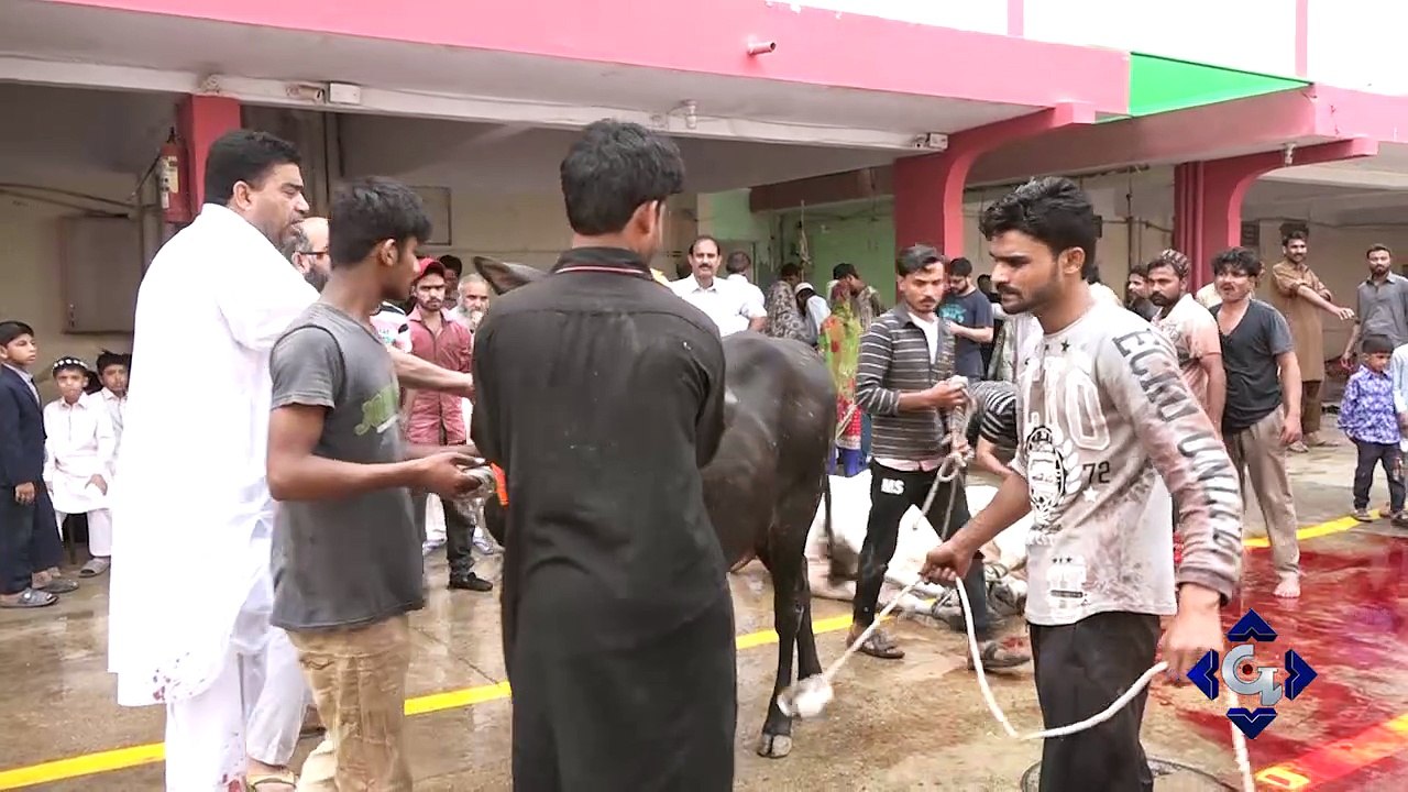 Eid ul Adha or Qasaiyun K Nakhray | GTV News