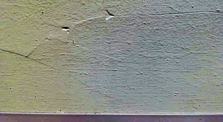 La CEP denuncia la insalubridad de las dependencias de la Comisaría de la Policía Nacional de La Laguna