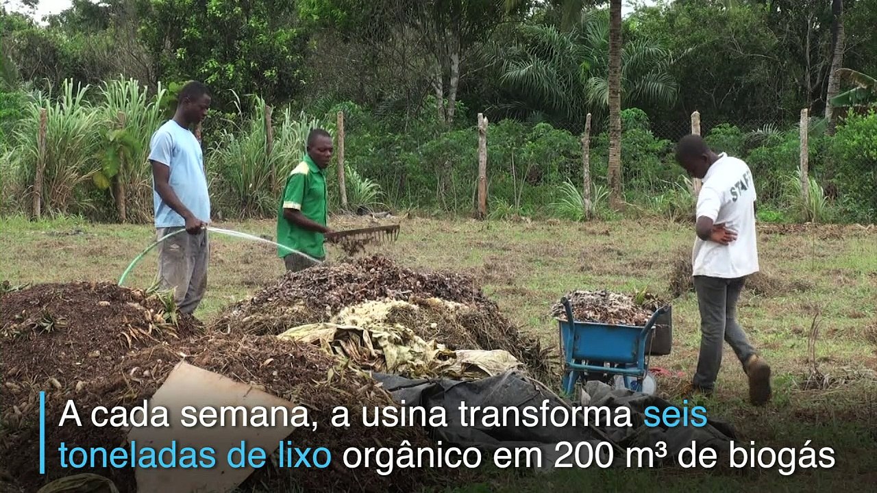O doce cheiro do lixo