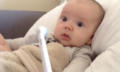 When Curiosity Meets Cuteness