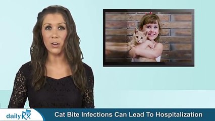 Dont Brush Off Cat Bites