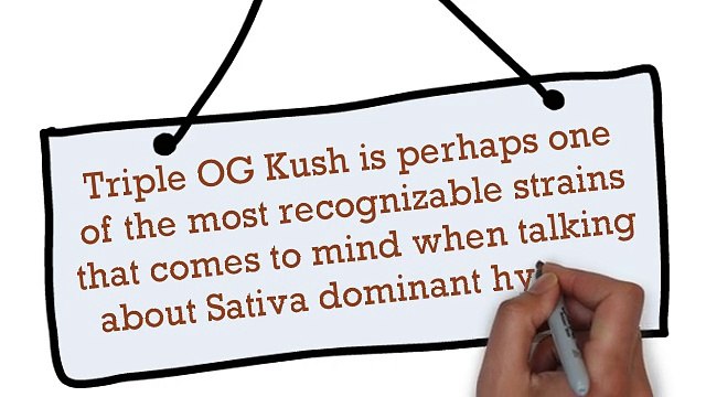 OG Kush indica or sativa