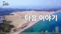 [EXO의 사다리 타고 세계여행 – 첸백시 일본편] 힐링&재미 GET 사구 액티비티[EXO’s Travel the World through a Ladder of Fortune – EXO-CBX in Japan] EXO-CBX Gets Excited For Sand Dune Activi
