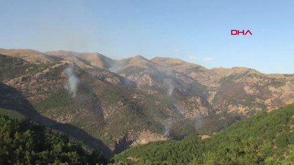 Tunceli'deki Orman Yangınına Havadan Müdahale Talebi