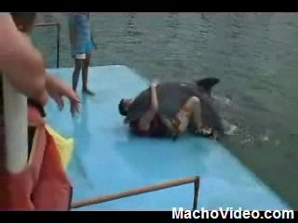 L'amour façon Dauphin