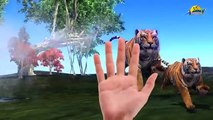 3D animals finger family | Learn animals sound song | Lion ,Gorilla ,Tiger nursery rhymes