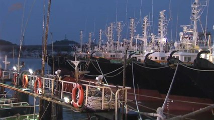 태풍에 어선 줄줄이 피항...광주·전남 '폭우' 예보 / YTN