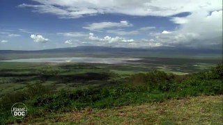 Ngorongoro Wildlife. Tanzania - Part 1
