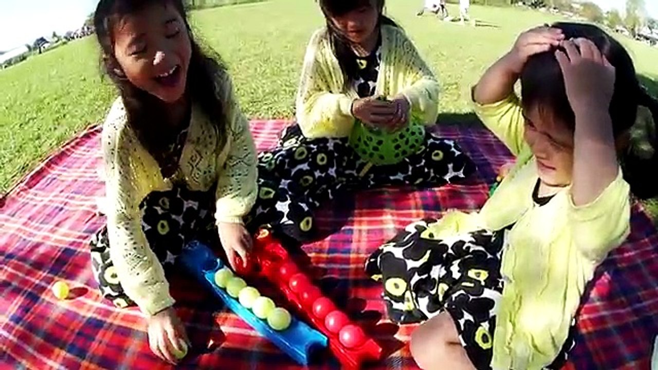 アンパンマン森のポンポンたまいれ