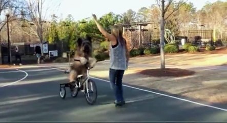 Teach My Pet to Do That S01  E06 E 6