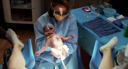 One Born Every Minute S01 - Ep08  8 HD Watch