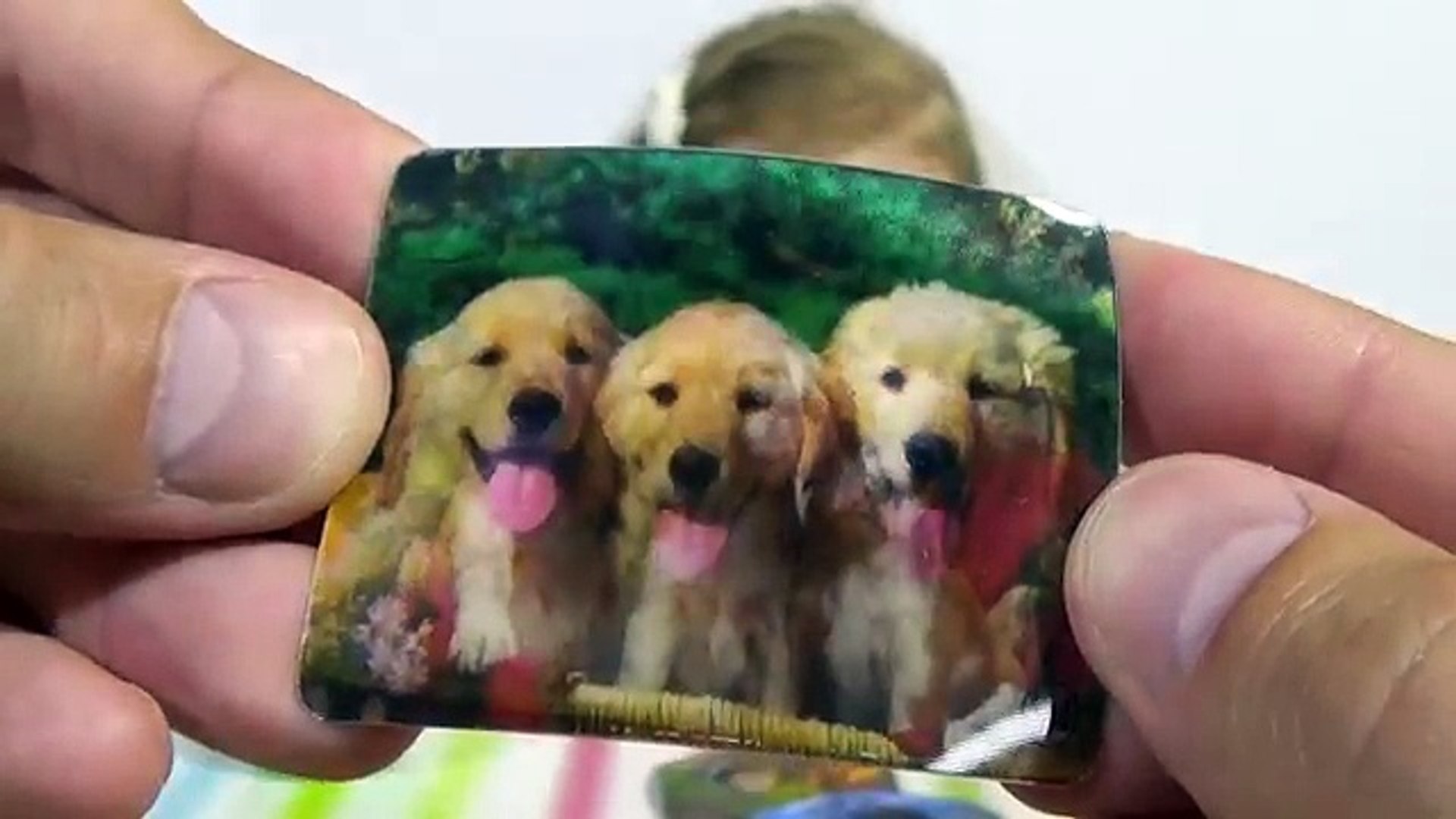 ⁣Заводные животные в яйцах/ сюрприз игрушки/ распаковка