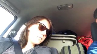 Chick Falls Asleep in Car Bobblehead
