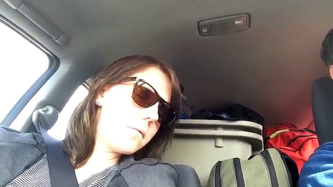 Chick Falls Asleep in Car Bobblehead