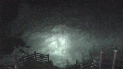 제주서 파도에 1명 실종...더 큰 피해 우려 / YTN