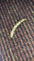 Man Eats Ant Covered Fry