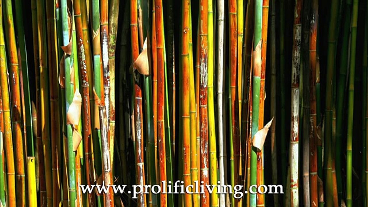 100 Positive Affirmations for Self Esteem, Confidence, Inner Peace