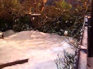 Home Improvement - S02 E14 Howard's End