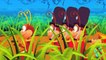 The Ants Go Marching | Kindergarten Nursery Rhymes For Children | Cartoons For Babies by K