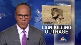 Where Is the Minnesota Dentist Who Killed Cecil the Lion? | NBC Nightly News