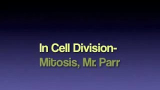 In Cell Division Mitosis Song