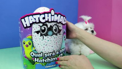 Hatchimal Chegou no Brasil Review em Português Lançamento new