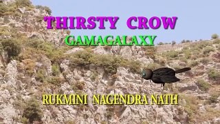 THIRSTY CROW NURSERY RHYMES STORY 3D ANIMATION